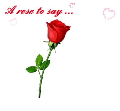 je t'aime shaimaa